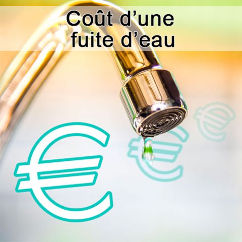 Coût d’une fuite d’eau